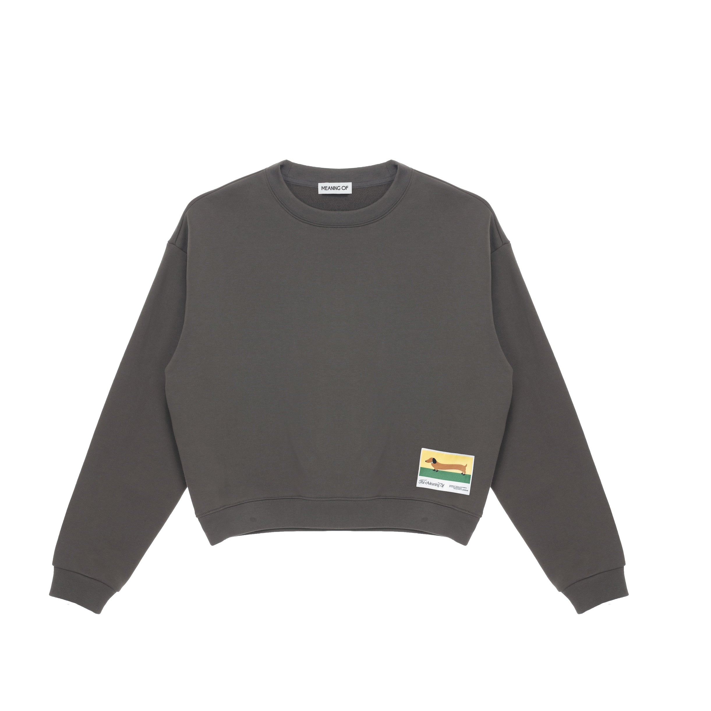 Minimalist Oversized Sweatshirt TMO25AWSW01DGY